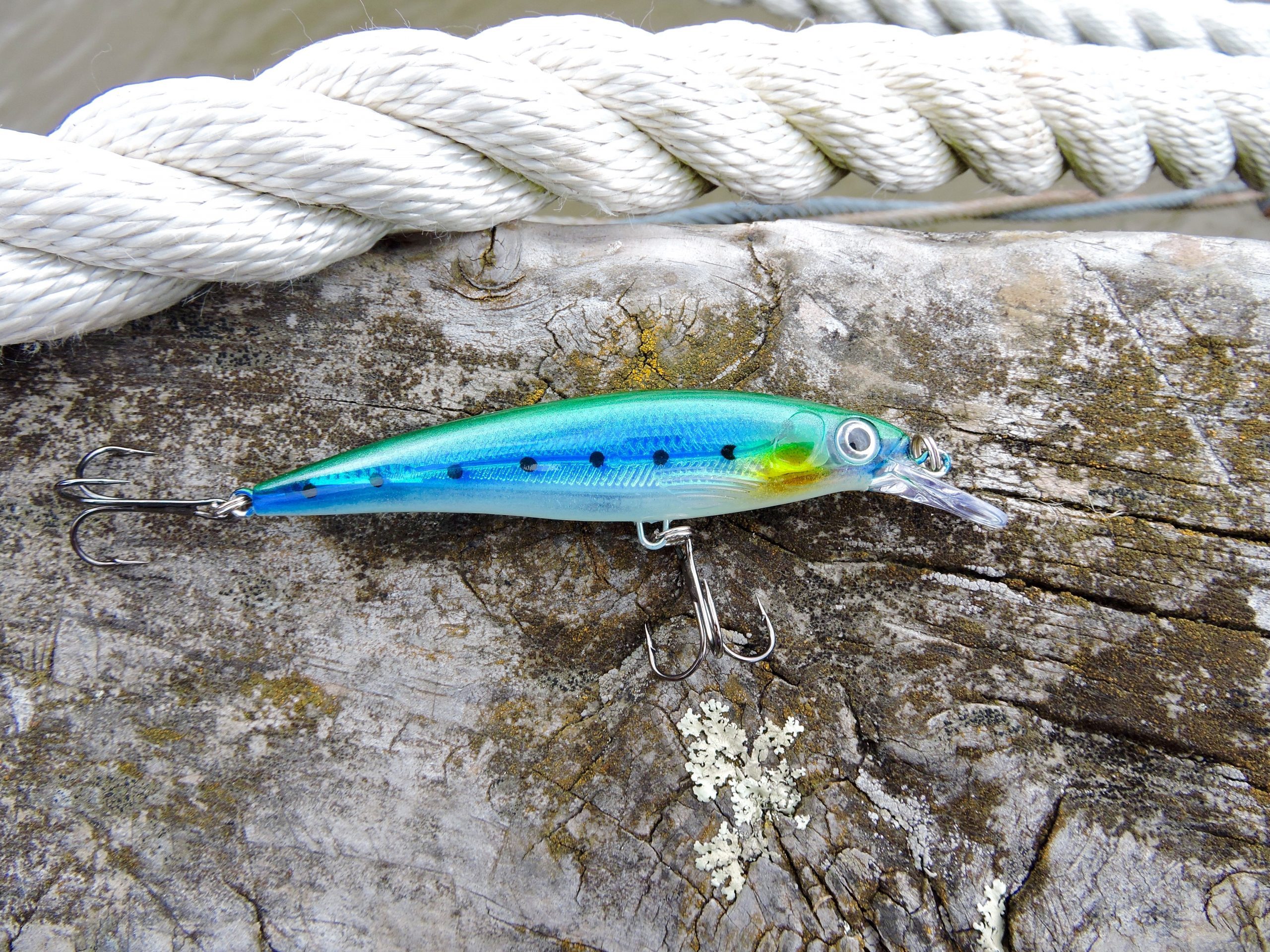 SnapperTackle 110mm Bibbed Minnow - Spottie - SnapperTackle®