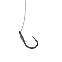 HOOK